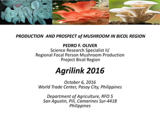 gg
PRODUCTION AND PROSPECT of MUSHROOM IN BICOL REGION
PEDRO F. OLIVER
Science Research Specialist II/
Regional Focal Person Mushroom Production
Project Bicol Region
Agrilink 2016
October 6, 2016
World Trade Center, Pasay City, Philippines
Department of Agriculture, RFO 5
San Agustin, Pili, Camarines Sur-4418
Philippines
 