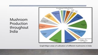 Mushroom
Production
throughout
India
Graph:Major areas of cultivation of different mushrooms in India
 