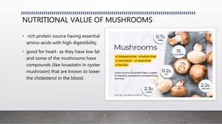 NUTRITIONAL VALUE OF MUSHROOMS
• rich protein source having essential
amino-acids with high digestibility.
• good for heart- as they have low fat
and some of the mushrooms have
compounds (like lovastatin in oyster
mushroom) that are known to lower
the cholesterol in the blood.
 