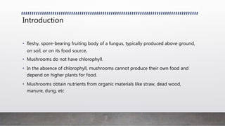Introduction
• fleshy, spore-bearing fruiting body of a fungus, typically produced above ground,
on soil, or on its food source.
• Mushrooms do not have chlorophyll.
• In the absence of chlorophyll, mushrooms cannot produce their own food and
depend on higher plants for food.
• Mushrooms obtain nutrients from organic materials like straw, dead wood,
manure, dung, etc
 