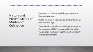 History and
Present Status of
Mushroom
Cultivation
• Cultivated in China on wood logs more than a
thousand year ago .
• Button mushroom was cultivated in France about
four centuries ago.
• The scientific cultivation of mushrooms started in
the beginning of 20th century and in the initial
years button mushroom was the most commonly
cultivated mushroom.
 
