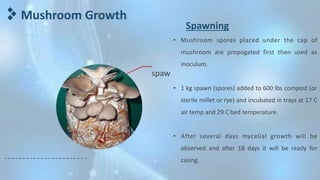 Mushroom forming | PPT