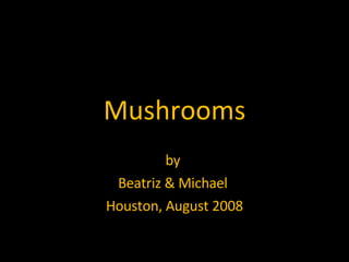 Mushrooms by  Beatriz & Michael  Houston, August 2008 