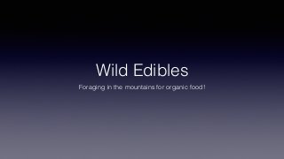 Wild Edibles
Foraging in the mountains for organic food!
 
