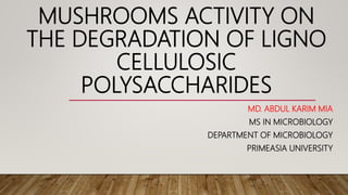 MUSHROOMS ACTIVITY ON
THE DEGRADATION OF LIGNO
CELLULOSIC
POLYSACCHARIDES
MD. ABDUL KARIM MIA
MS IN MICROBIOLOGY
DEPARTMENT OF MICROBIOLOGY
PRIMEASIA UNIVERSITY
 