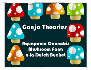Aquaponic Cannabis Mushroom Farm from a Dutch Bucket System