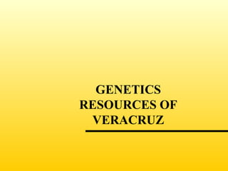 GENETICS RESOURCES OF VERACRUZ 