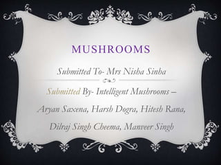 MUSHROOMS 
Submitted To- Mrs Nisha Sinha 
Submitted By- Intelligent Mushrooms – 
Aryan Saxena, Harsh Dogra, Hitesh Rana, 
Dilraj Singh Cheema, Manveer Singh 
 