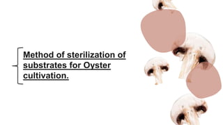 Method of sterilization of
substrates for Oyster
cultivation.
M
 
