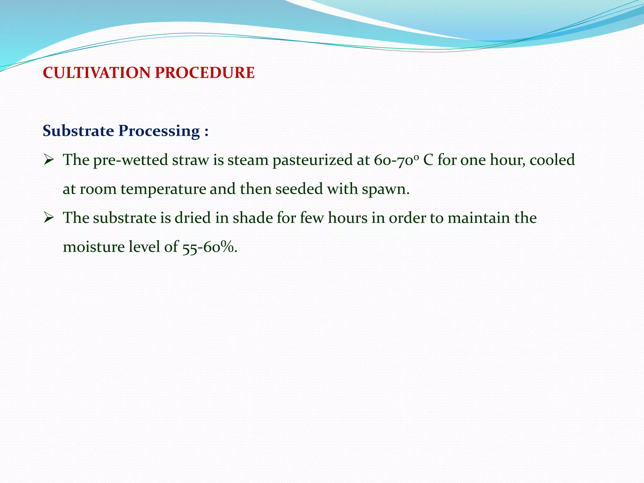 CULTIVATION PROCEDURE
Substrate Processing :
 The pre-wetted straw is steam pasteurized at 60-70o C for one hour, cooled
at room temperature and then seeded with spawn.
 The substrate is dried in shade for few hours in order to maintain the
moisture level of 55-60%.
 