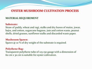 MATERIAL REQUIREMENT
Substrate:
Straw of paddy, wheat and ragi, stalks and dry leaves of maize, jowar,
bajra, and cotton, sugarcane bagasse, jute and cotton waste, peanut
shells, dried grasses, sunflower stalks and discarded waste paper.
Mushroom Spawn:
Spawn @ 10 % of dry weight of the substrate is required.
Polythene Bag:
Transparent polythene tube of 125-150 gauge with a dimension of
60 cm x 30 cm is suitable for oyster cultivation.
OYSTER MUSHROOM CULTIVATION PROCESS
 