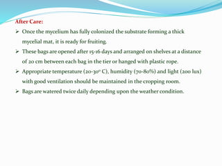 After Care:
 Once the mycelium has fully colonized the substrate forming a thick
mycelial mat, it is ready for fruiting.
 These bags are opened after 15-16 days and arranged on shelves at a distance
of 20 cm between each bag in the tier or hanged with plastic rope.
 Appropriate temperature (20-30o C), humidity (70-80%) and light (200 lux)
with good ventilation should be maintained in the cropping room.
 Bags are watered twice daily depending upon the weather condition.
 