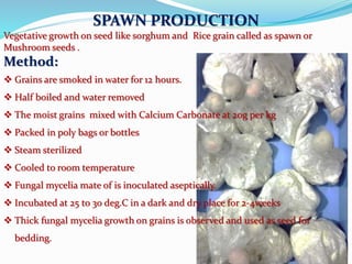 SPAWN PRODUCTION
Vegetative growth on seed like sorghum and Rice grain called as spawn or
Mushroom seeds .
Method:
 Grains are smoked in water for 12 hours.
 Half boiled and water removed
 The moist grains mixed with Calcium Carbonate at 20g per kg
 Packed in poly bags or bottles
 Steam sterilized
 Cooled to room temperature
 Fungal mycelia mate of is inoculated aseptically.
 Incubated at 25 to 30 deg.C in a dark and dry place for 2-4weeks
 Thick fungal mycelia growth on grains is observed and used as seed for
bedding.
 