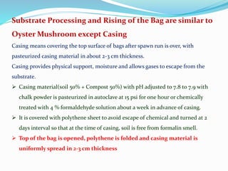 Substrate Processing and Rising of the Bag are similar to
Oyster Mushroom except Casing
Casing means covering the top surface of bags after spawn run is over, with
pasteurized casing material in about 2-3 cm thickness.
Casing provides physical support, moisture and allows gases to escape from the
substrate.
 Casing material(soil 50% + Compost 50%) with pH adjusted to 7.8 to 7.9 with
chalk powder is pasteurized in autoclave at 15 psi for one hour or chemically
treated with 4 % formaldehyde solution about a week in advance of casing.
 It is covered with polythene sheet to avoid escape of chemical and turned at 2
days interval so that at the time of casing, soil is free from formalin smell.
 Top of the bag is opened, polythene is folded and casing material is
uniformly spread in 2-3 cm thickness
 