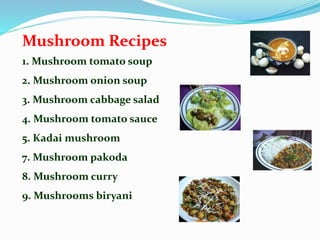 Mushroom Recipes
1. Mushroom tomato soup
2. Mushroom onion soup
3. Mushroom cabbage salad
4. Mushroom tomato sauce
5. Kadai mushroom
7. Mushroom pakoda
8. Mushroom curry
9. Mushrooms biryani
 