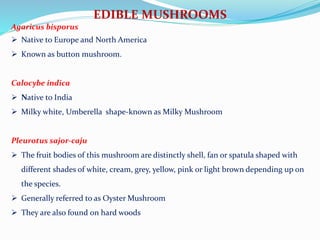 EDIBLE MUSHROOMS
Agaricus bisporus
 Native to Europe and North America
 Known as button mushroom.
Calocybe indica
 Native to India
 Milky white, Umberella shape-known as Milky Mushroom
Pleurotus sajor-caju
 The fruit bodies of this mushroom are distinctly shell, fan or spatula shaped with
different shades of white, cream, grey, yellow, pink or light brown depending up on
the species.
 Generally referred to as Oyster Mushroom
 They are also found on hard woods
 