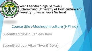 Veer Chandra Singh Garhwali
Uttarakhand University of Horticulture and
Forestry ,Bharsar Pauri Garhwal
Course title :-Mushroom culture (HPI 110)
Submitted to:-Dr. Sanjeev Ravi
Submitted by :- Vikas Tiwari(16031)
 