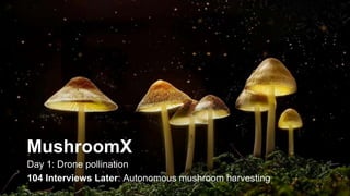 MushroomX
Day 1: Drone pollination
104 Interviews Later: Autonomous mushroom harvesting
 