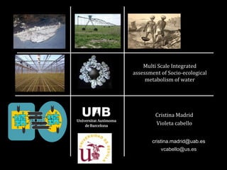 Multi Scale Integrated
assessment of Socio-ecological
     metabolism of water




         Cristina Madrid
         Violeta cabello


       cristina.madrid@uab.es
           vcabello@us.es
 