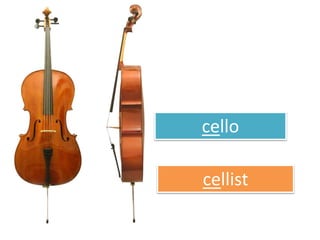 cello
cellist
 
