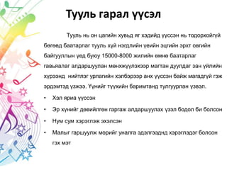 Тууль гарал үүсэл
Тууль нь он цагийн хувьд яг хэдийд үүссэн нь тодорхойгүй
бөгөөд баатарлаг тууль хүй нэгдлийн үеийн эцгийн эрхт овгийн
байгууллын үед буюу 15000-8000 жилийн өмнө баатарлаг
гавьяалаг алдаршуулан мөнхжүүлэхээр магтан дуулдаг зан үйлийн
хүрээнд нийтлэг урлагийн хэлбэрээр анх үүссэн байж магадгүй гэж
эрдэмтэд үзжээ. Үүнийг түүхийн баримтанд тулгуурлан үзвэл.
• Хэл яриа үүссэн
• Эр хүнийг дөвийлгөн гаргаж алдаршуулах үзэл бодол би болсон
• Нум сум хэрэглэж эхэлсэн
• Малыг гаршуулж морийг уналга эдэлгээднд хэрэглэдэг болсон
гэх мэт
 