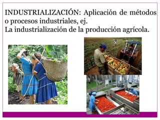 INDUSTRIALIZACIÓN: Aplicación de métodos
o procesos industriales, ej.
La industrialización de la producción agrícola.
 