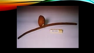 Music 10- MUSICAL-INSTRUMENTS-OF-AFRICA-1.pptx