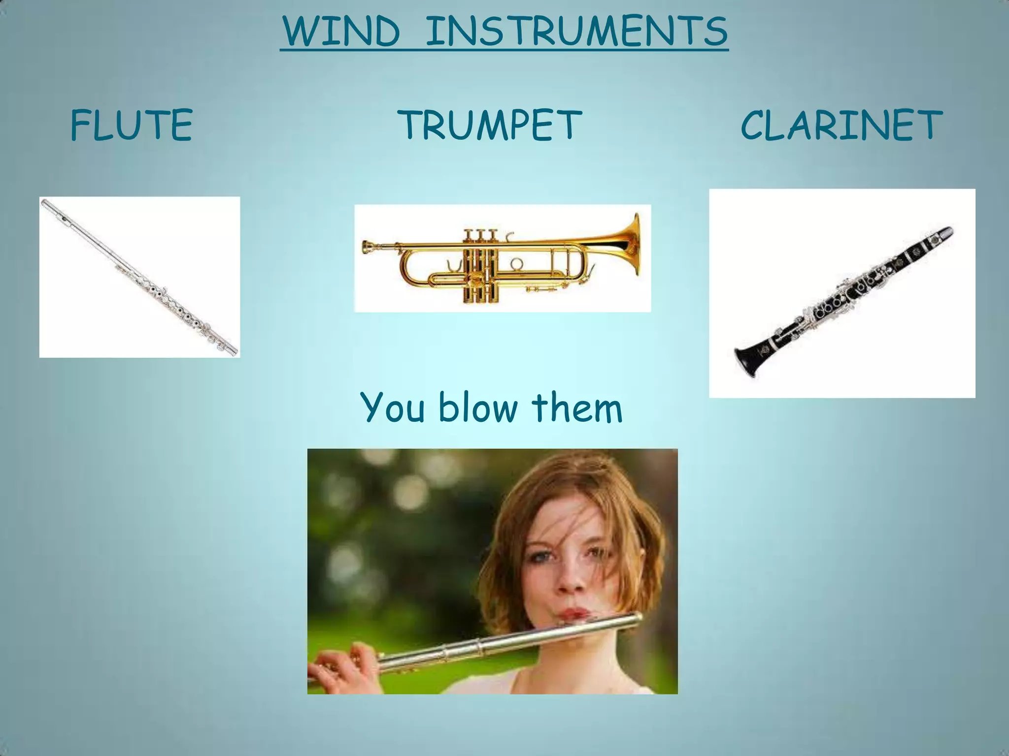 WIND INSTRUMENTS
FLUTE TRUMPET CLARINET
You blow them