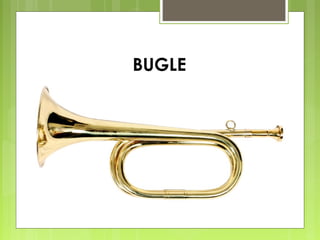 BUGLE
 