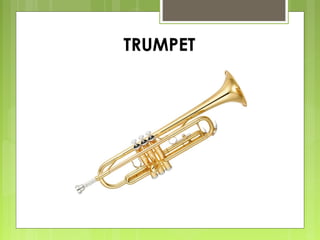 TRUMPET
 