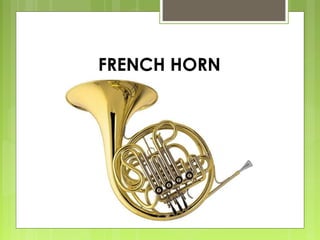 FRENCH HORN
 