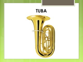 TUBA
 