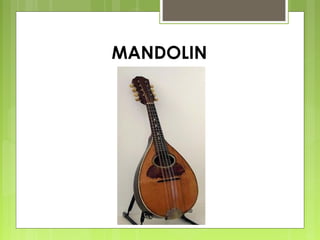 MANDOLIN
 