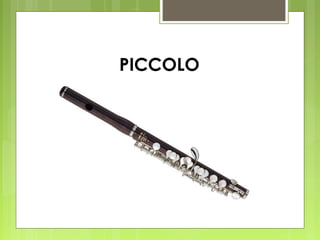 PICCOLO
 