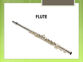 FLUTE
 
