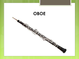OBOE
 