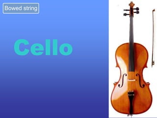 Musical instruments | PPTX