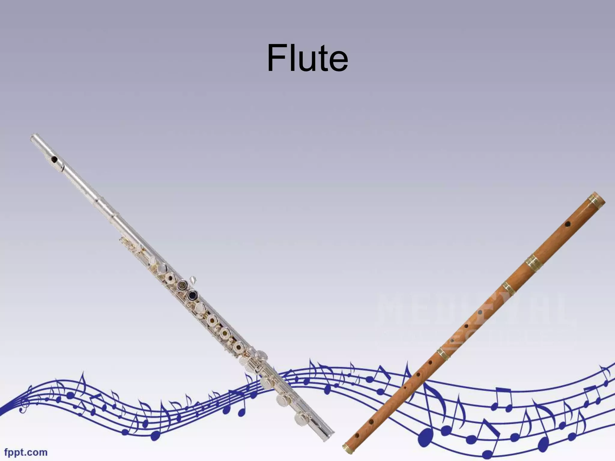 Flute
 