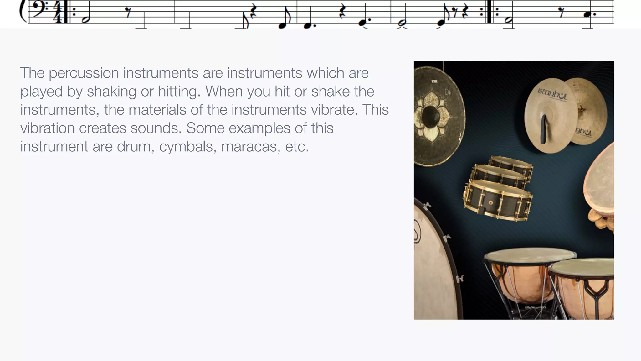 Report Text - Musical instruments | PDF