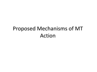 Proposed Mechanisms of MT
Action

 