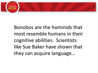 Bonobos are the hominids that
most resemble humans in their
cognitive abilities. Scientists
like Sue Baker have shown that
they can acquire language…
 