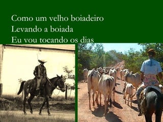 Como um velho boiadeiro Levando a boiada Eu vou tocando os dias 