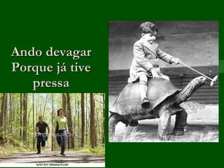 Ando devagar Porque já tive pressa 