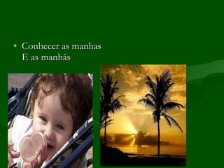 Conhecer as manhas E as manhãs 