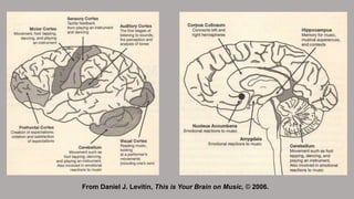 From Daniel J. Levitin, This is Your Brain on Music, © 2006.
 