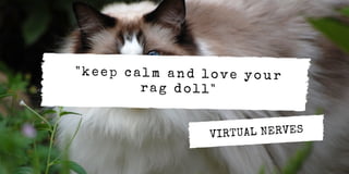 "keep calm and love your
rag doll"
VIRTUAL NERVES
 