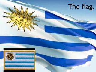 The flag.
 