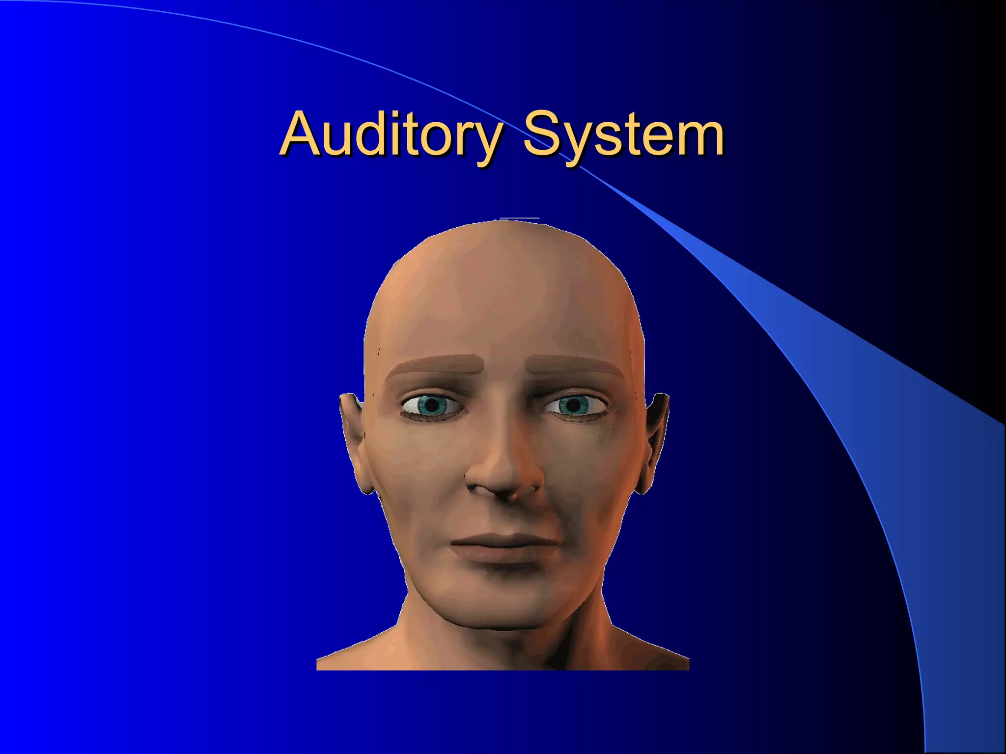 Auditory SystemAuditory System
 