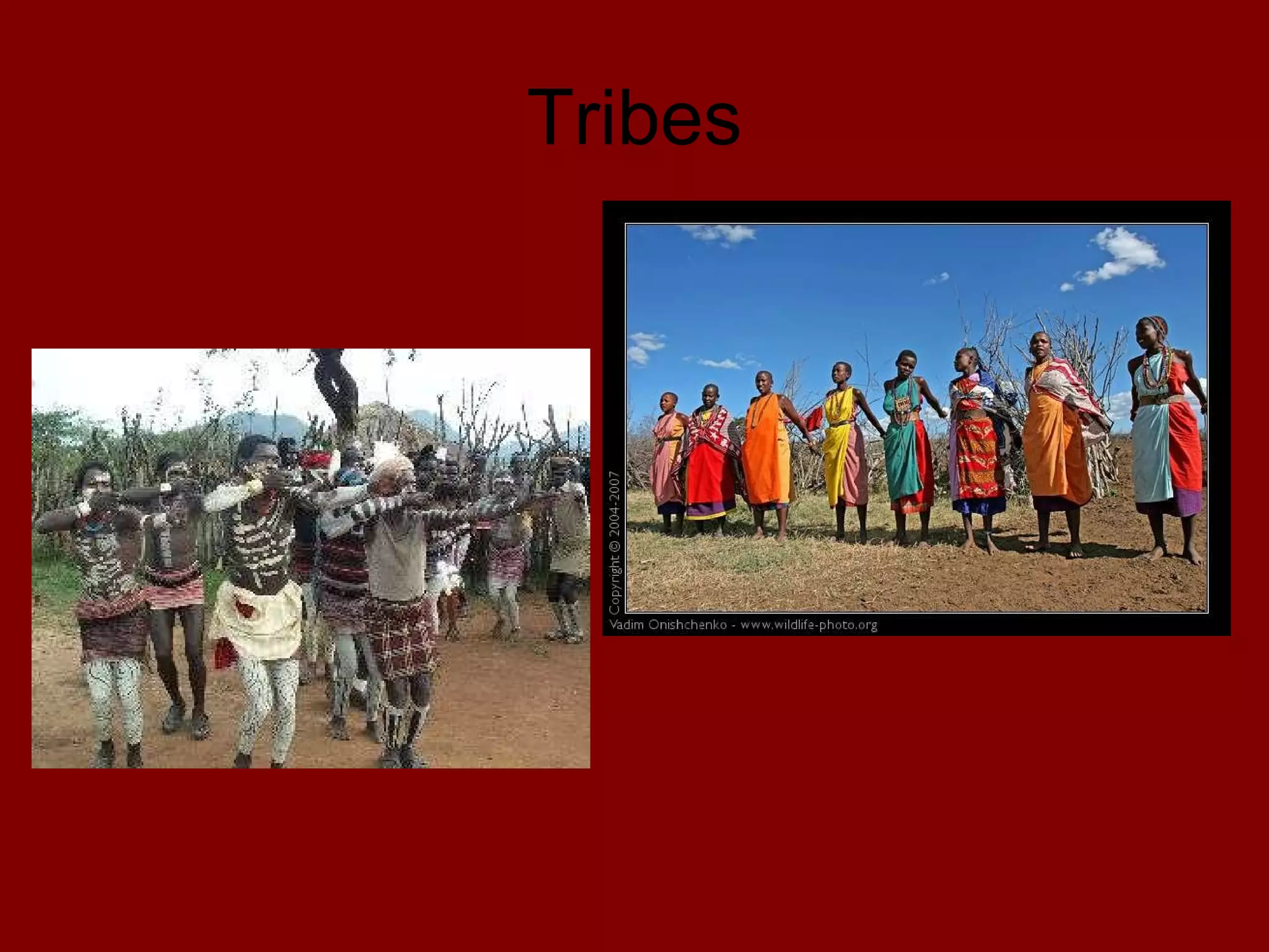 Tribes