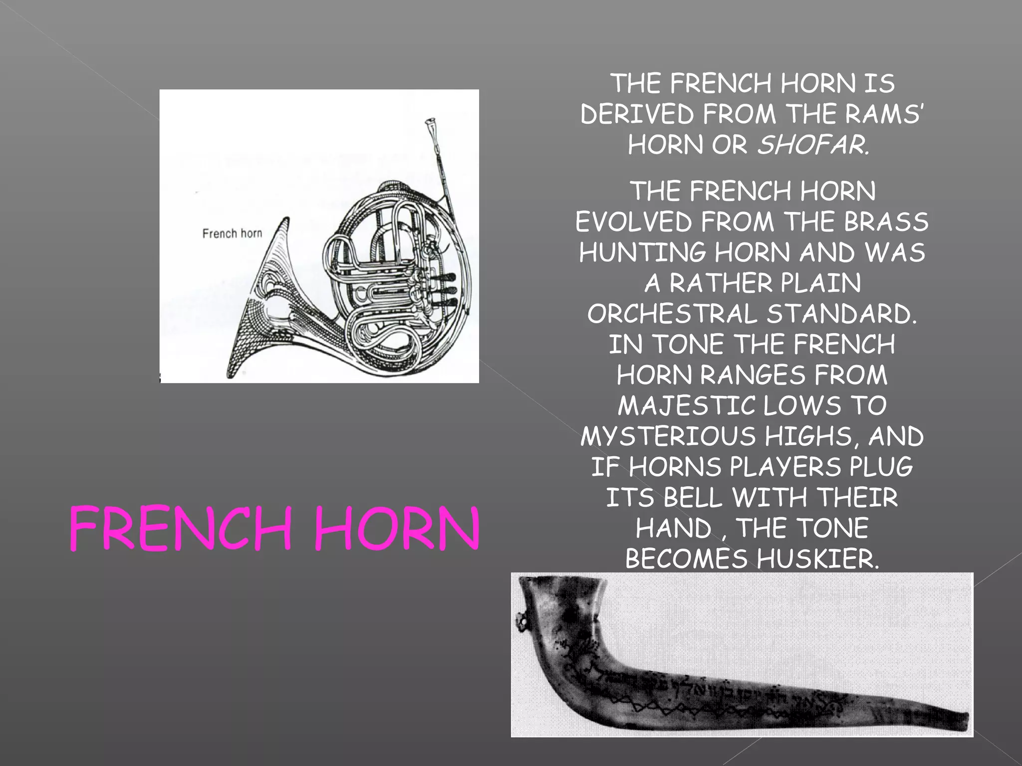 THE FRENCH HORN IS
DERIVED FROM THE RAMS’
HORN OR SHOFAR.

FRENCH HORN

THE FRENCH HORN
EVOLVED FROM THE BRASS
HUNTING HORN AND WAS
A RATHER PLAIN
ORCHESTRAL STANDARD.
IN TONE THE FRENCH
HORN RANGES FROM
MAJESTIC LOWS TO
MYSTERIOUS HIGHS, AND
IF HORNS PLAYERS PLUG
ITS BELL WITH THEIR
HAND , THE TONE
BECOMES HUSKIER.

 
